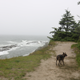 Illustration for article titled Oregon photodump (plenty o Toby)